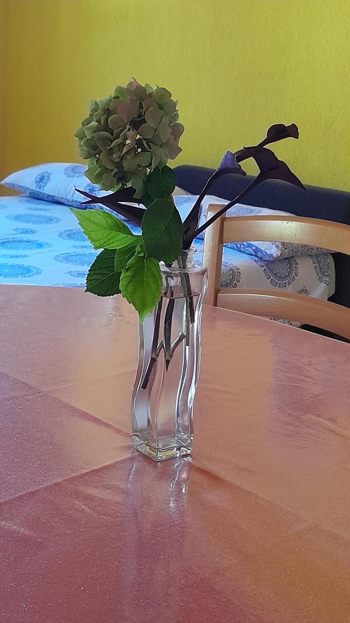 Apartments Renata - Brseč מראה חיצוני תמונה