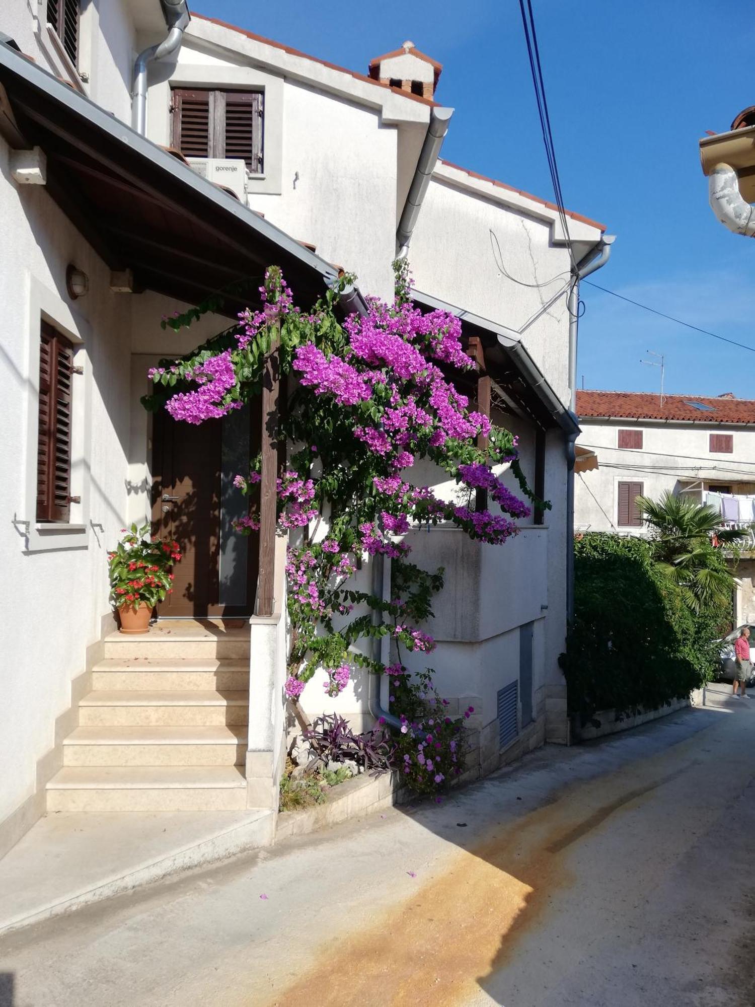 Apartments Renata - Brseč מראה חיצוני תמונה