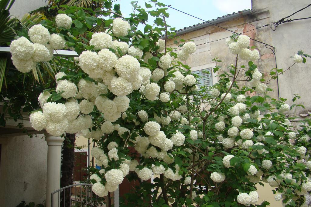 Apartments Renata - Brseč מראה חיצוני תמונה